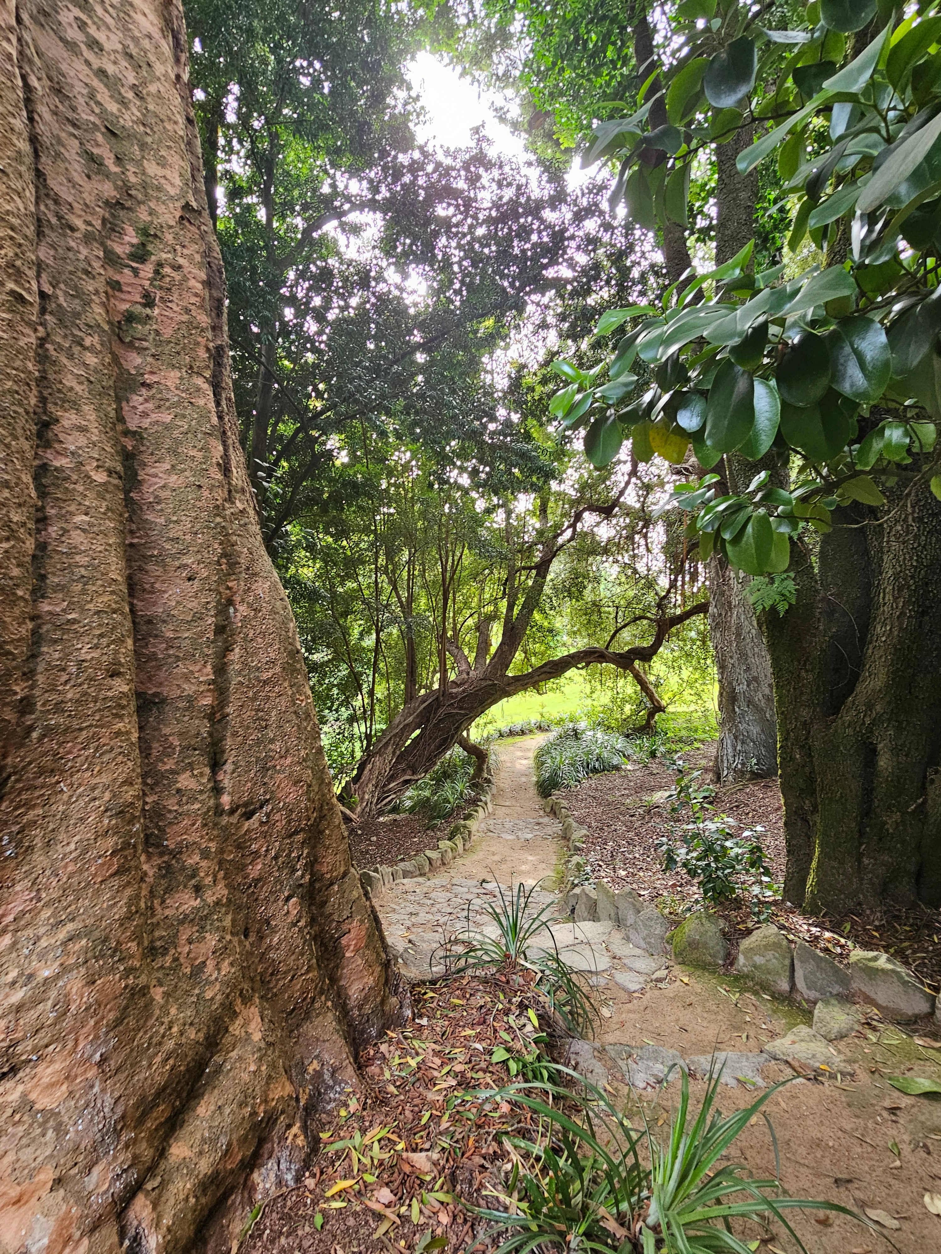 Sintra